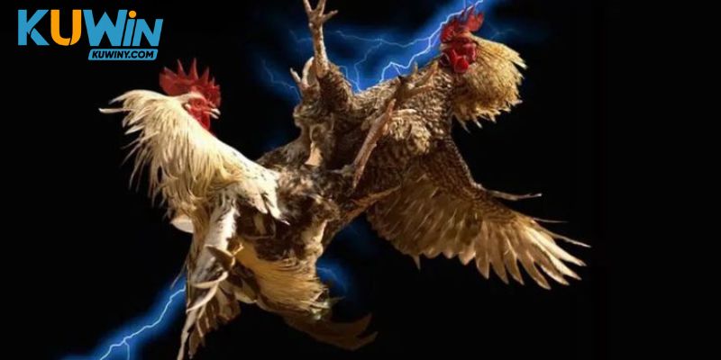 Tác động của đối thủ và nhịp trận đến đặc điểm thi đấu